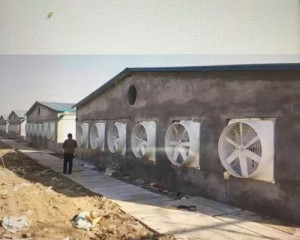 麻豆一级毛片安装现场
