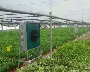 麻豆一级毛片安装现场