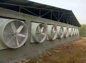 麻豆一级毛片安装现场